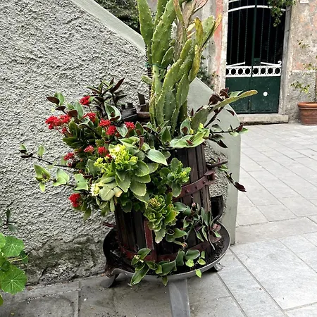 Cinque Terre Le Cinque Vele Luxury House Monterosso al Mare